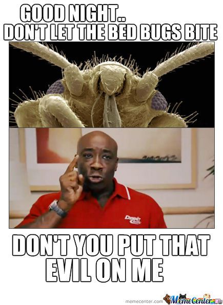 Detail Bedbug Meme Nomer 6