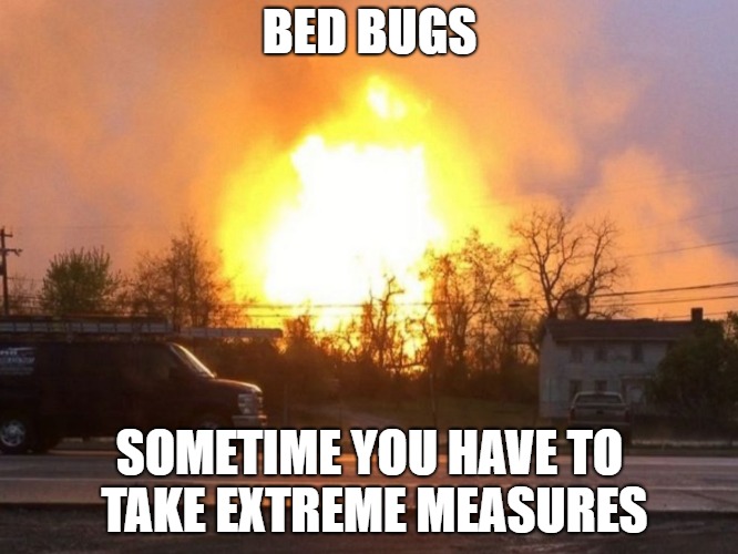 Detail Bedbug Meme Nomer 43