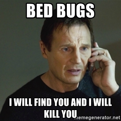 Detail Bedbug Meme Nomer 50