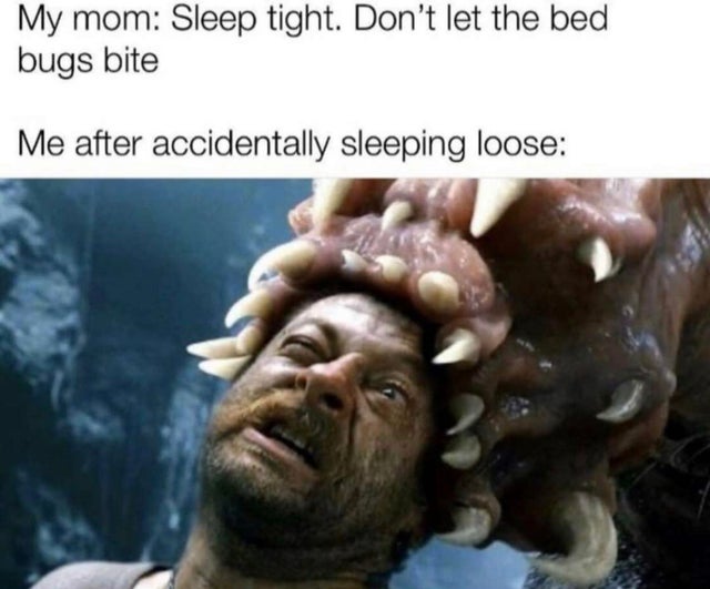 Detail Bedbug Meme Nomer 51