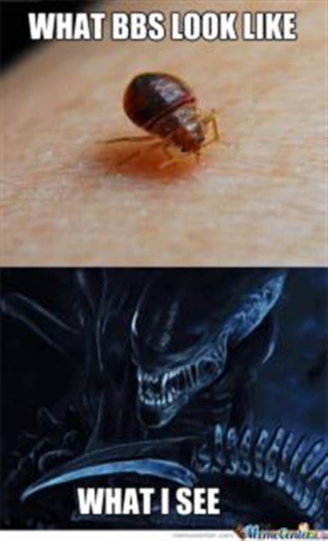 Detail Bedbug Meme Nomer 9