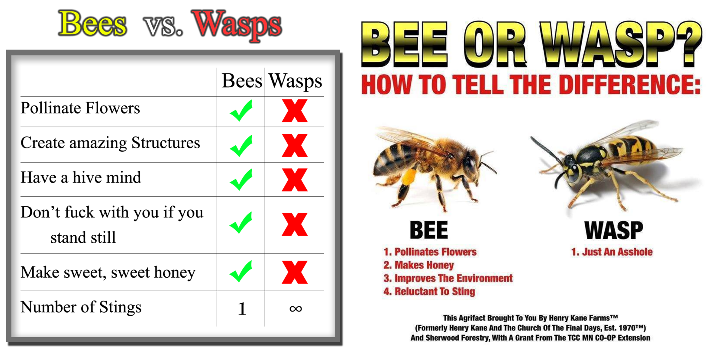 Detail Bee And Wasp Meme Nomer 2