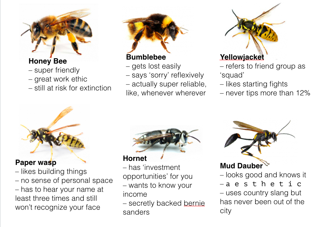 Detail Bee And Wasp Meme Nomer 13