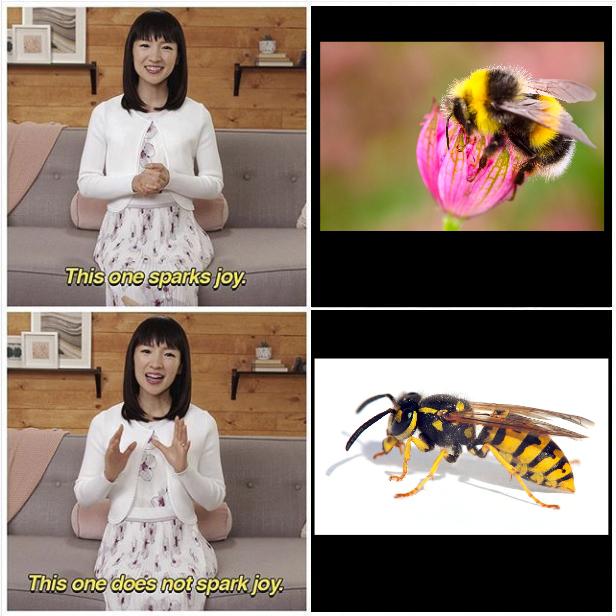 Detail Bee And Wasp Meme Nomer 15