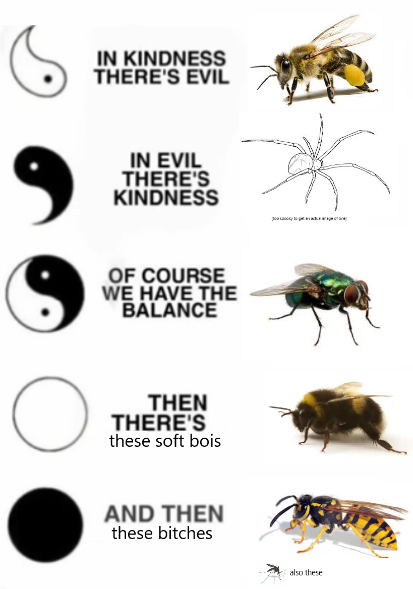Detail Bee And Wasp Meme Nomer 17