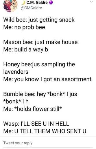 Detail Bee And Wasp Meme Nomer 31