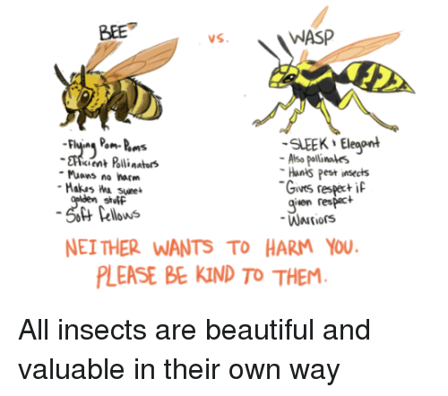 Detail Bee And Wasp Meme Nomer 41