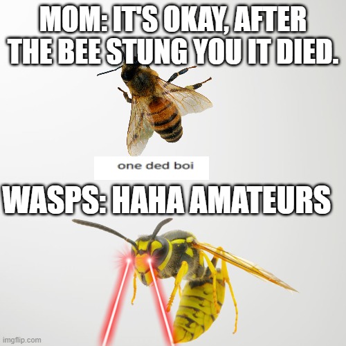 Detail Bee And Wasp Meme Nomer 49