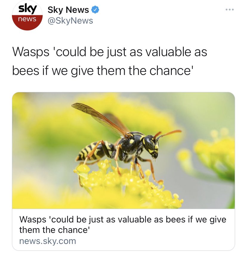 Detail Bee And Wasp Meme Nomer 57