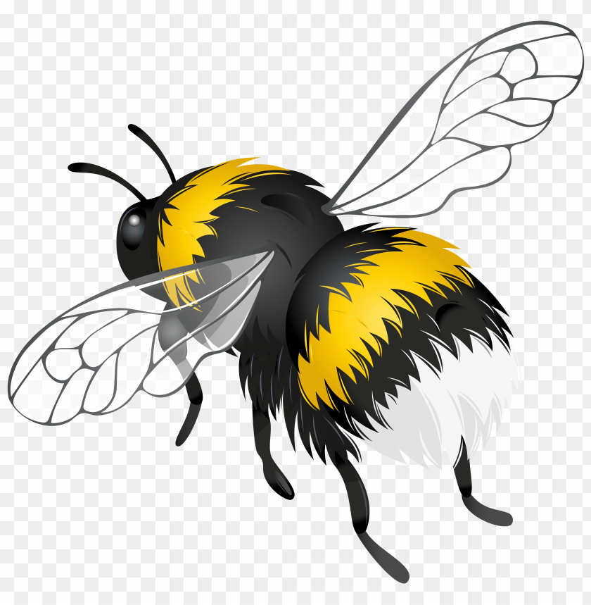 Detail Bee Clipart No Background Nomer 32