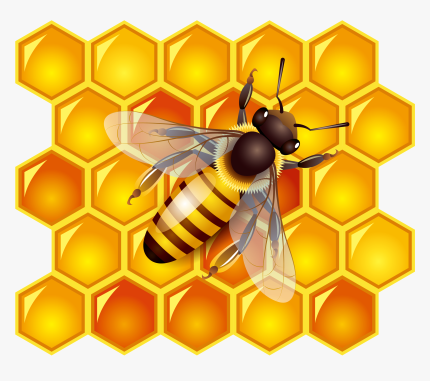 Detail Bee Download Nomer 26