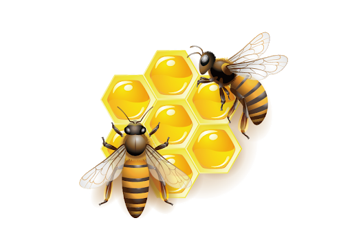 Detail Bee Download Nomer 30