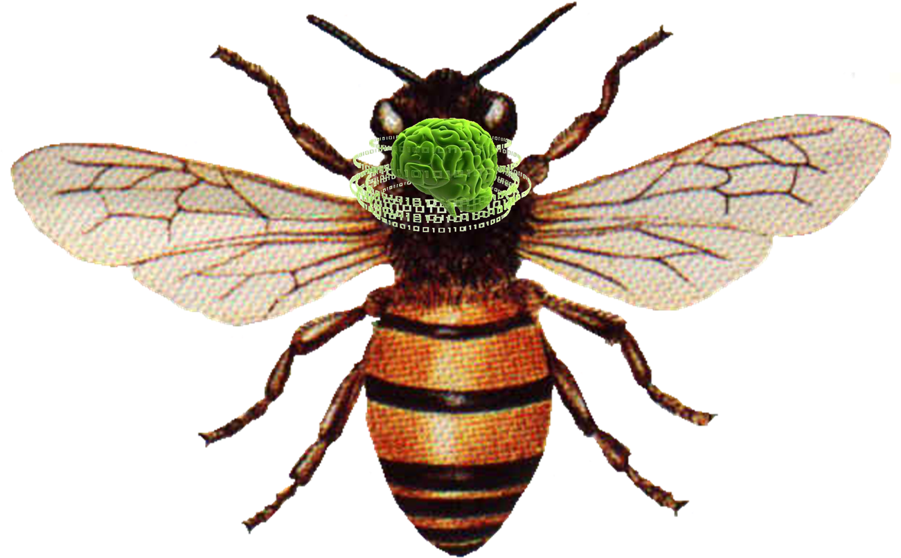 Detail Bee Download Nomer 44