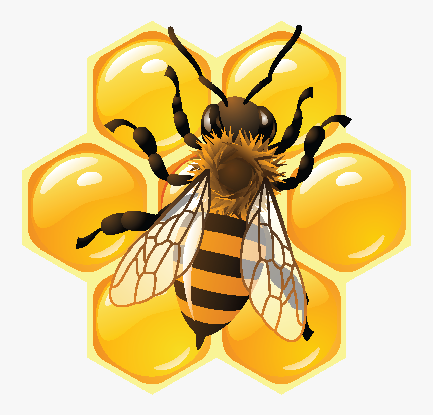 Detail Bee Download Free Nomer 22
