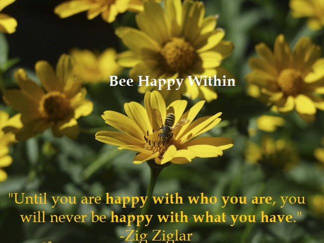 Detail Bee Happy Quotes Nomer 48