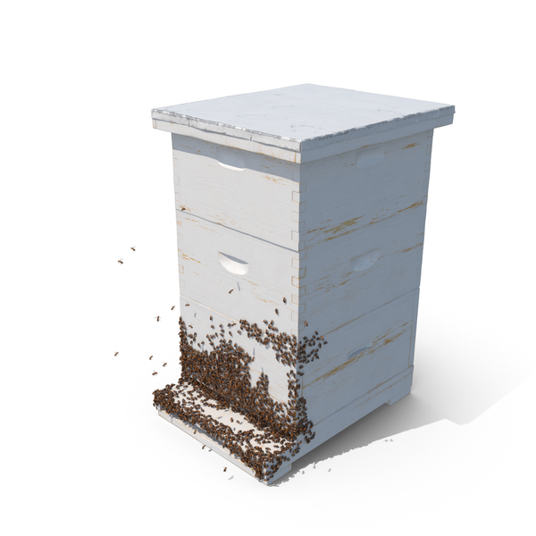 Detail Bee Hive Png Nomer 24