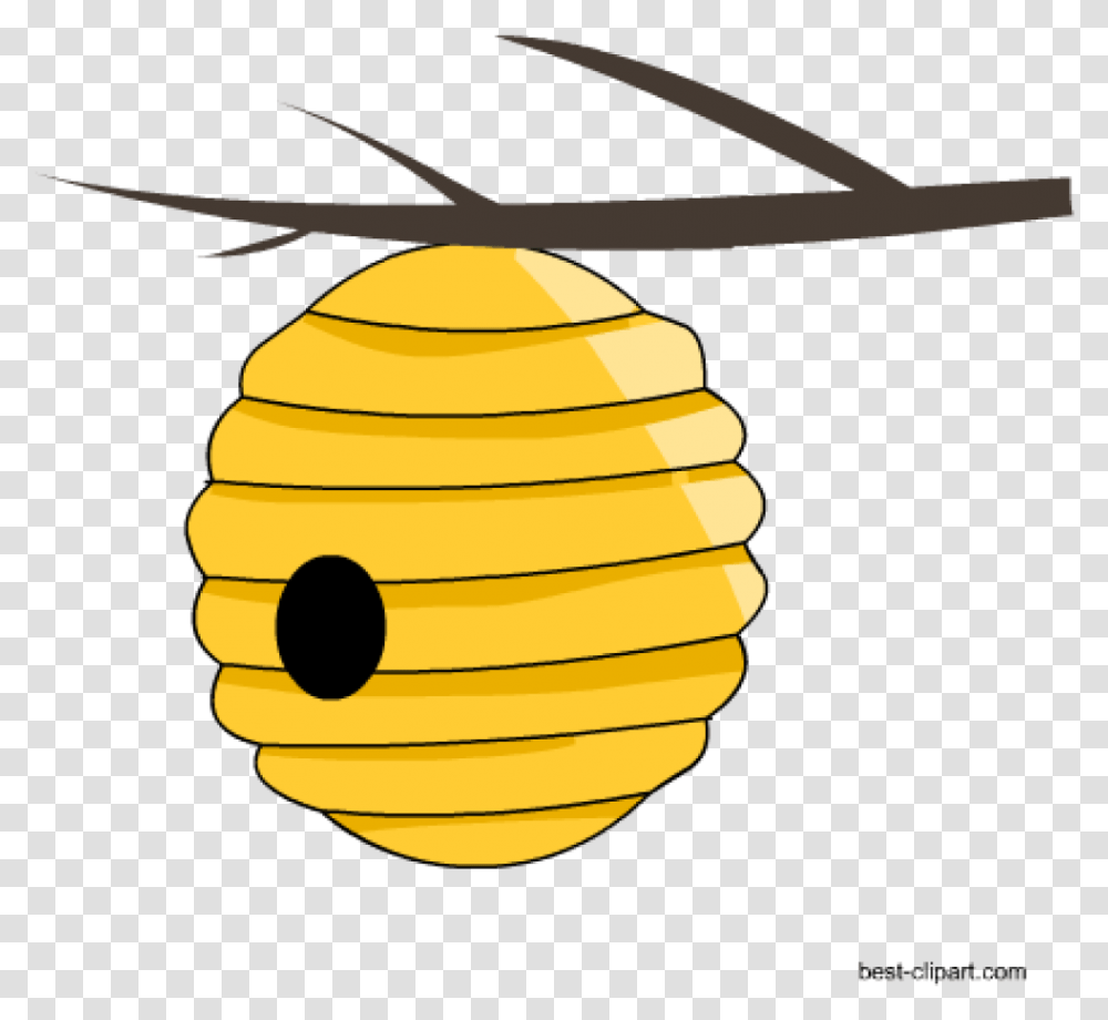 Detail Bee Hive Png Nomer 5