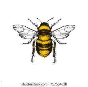 Detail Bee Image Nomer 12