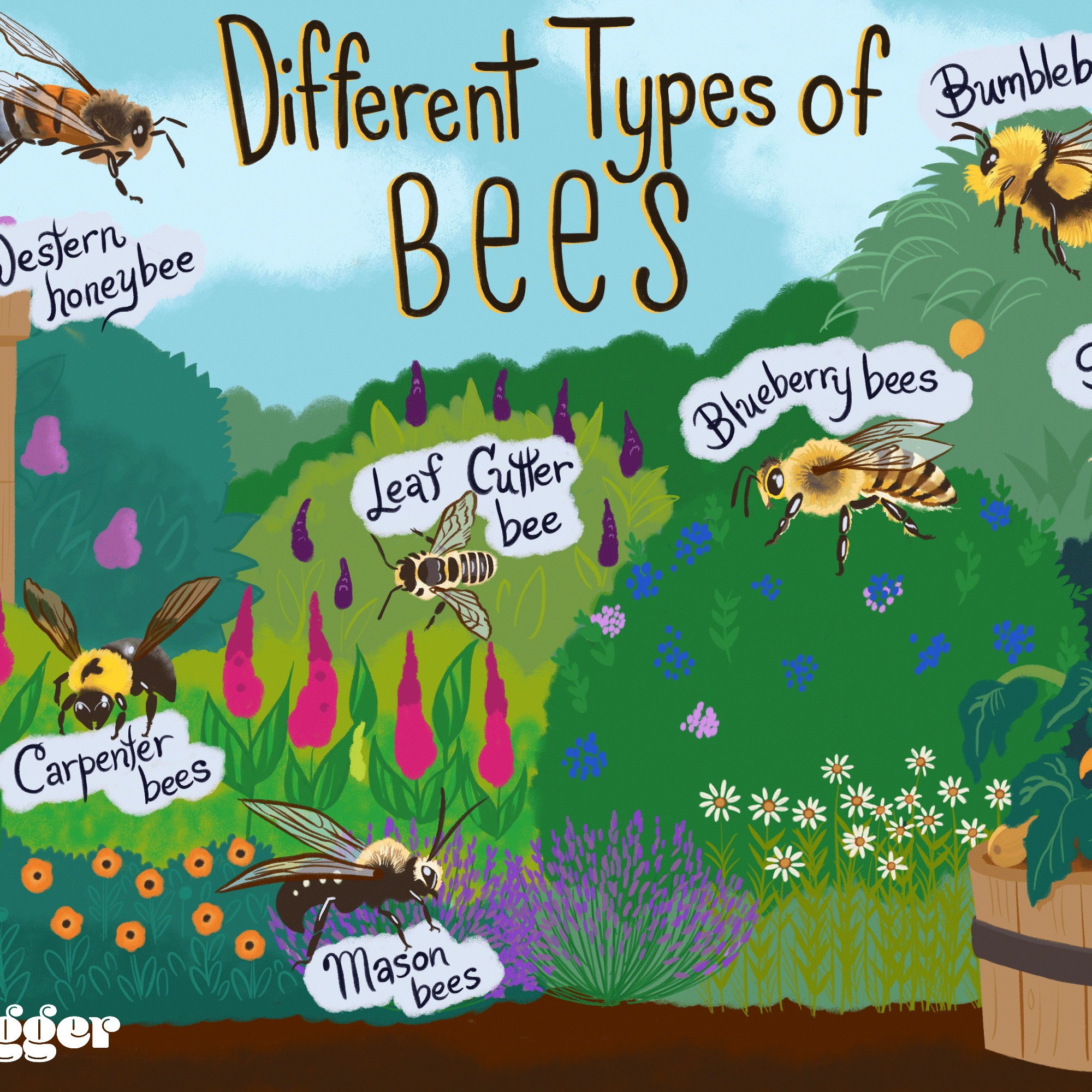 Detail Bee Image Nomer 19