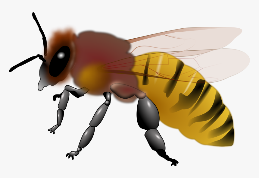 Detail Bee Images Clipart Nomer 27