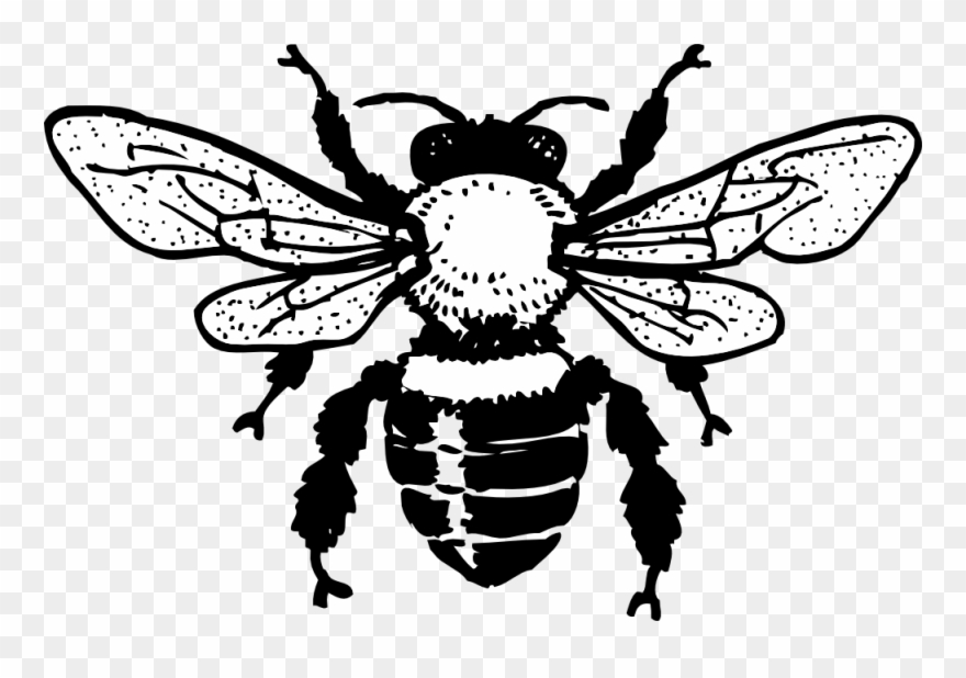 Detail Bee Images Free Clip Art Nomer 29