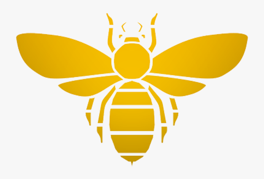 Bee Logo Png - KibrisPDR