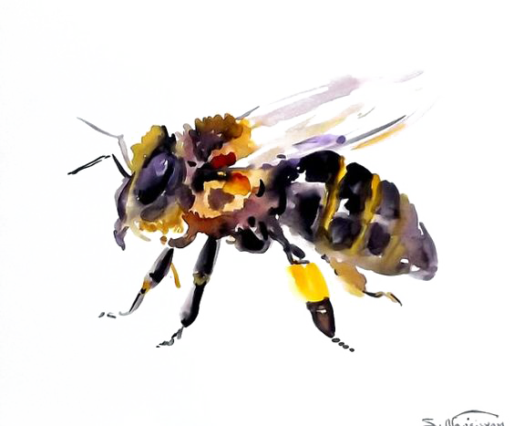 Detail Bee No Background Nomer 51