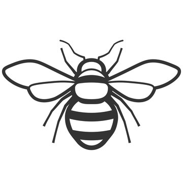 Detail Bee Outline Png Nomer 16