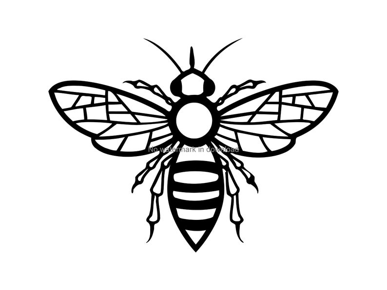 Detail Bee Outline Png Nomer 18