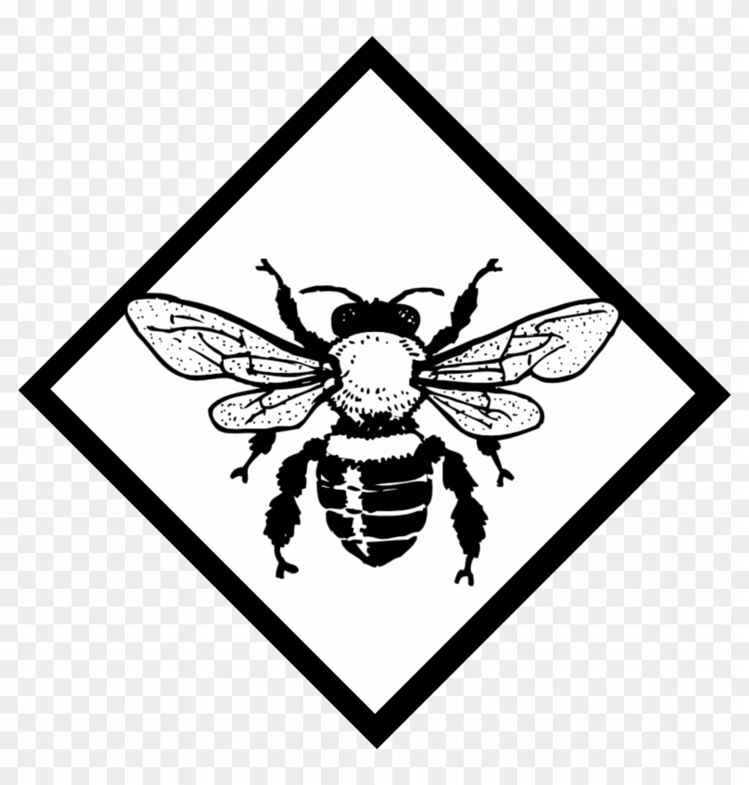 Detail Bee Outline Png Nomer 28