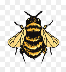 Detail Bee Outline Png Nomer 32