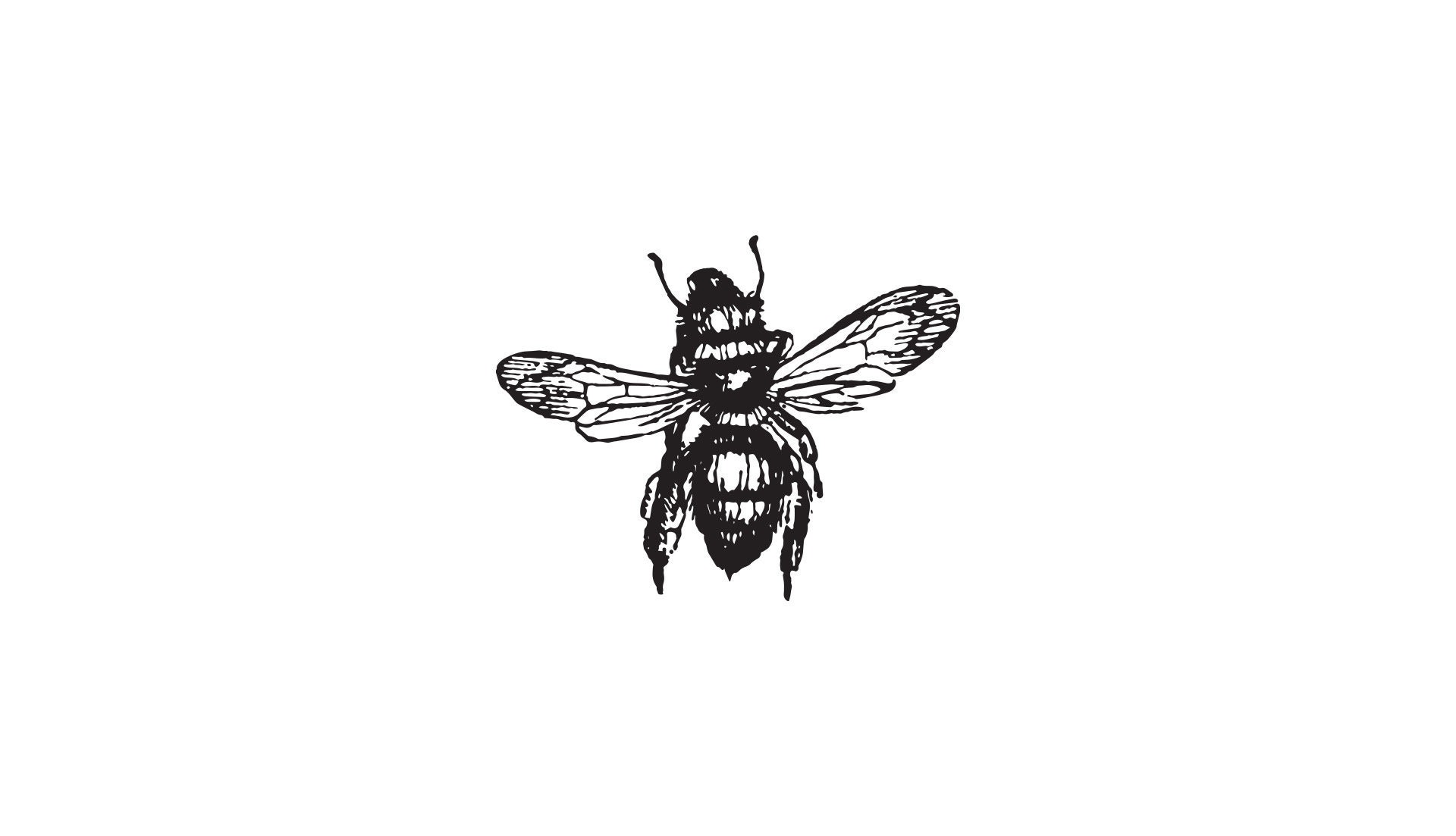 Detail Bee Outline Png Nomer 41