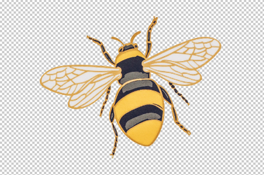 Detail Bee Transparent Background Nomer 20