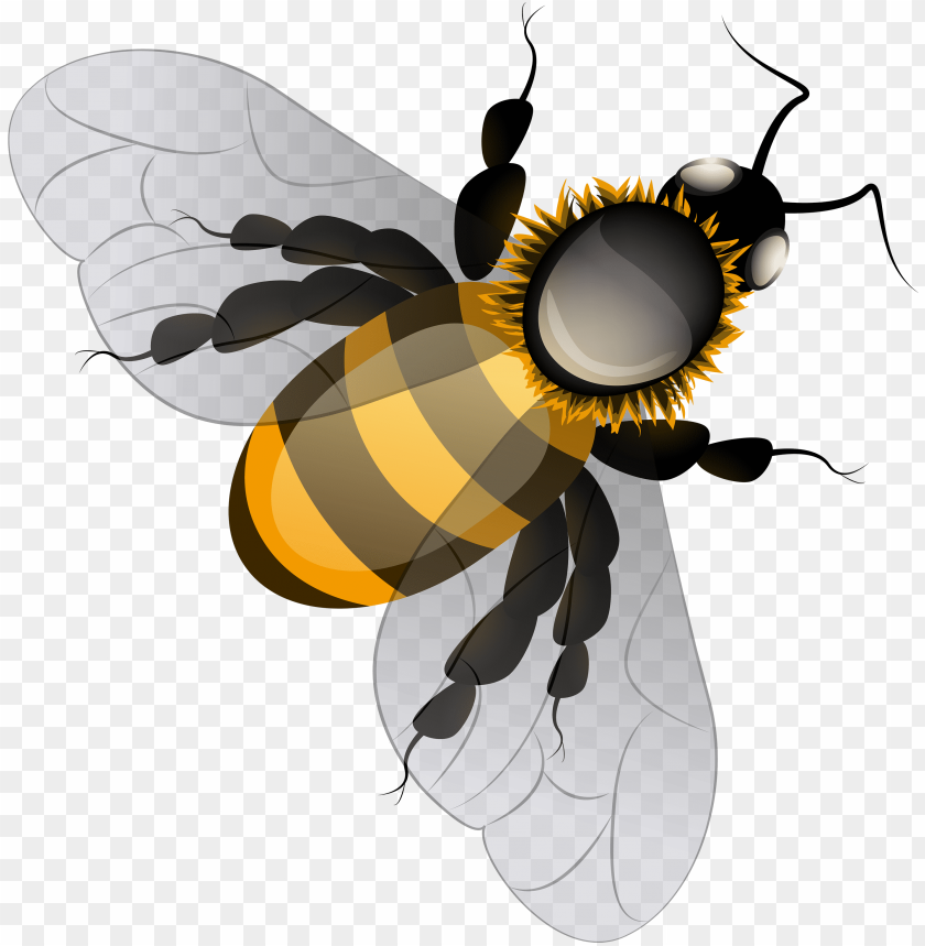 Detail Bee Transparent Background Nomer 39