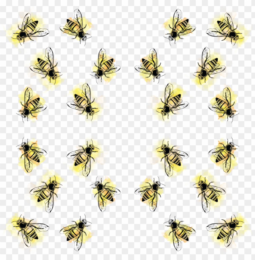 Detail Bee Transparent Background Nomer 41