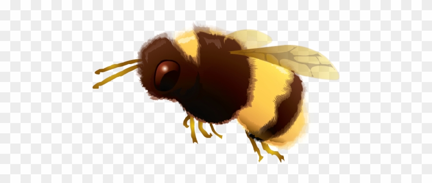 Detail Bee Transparent Background Nomer 44