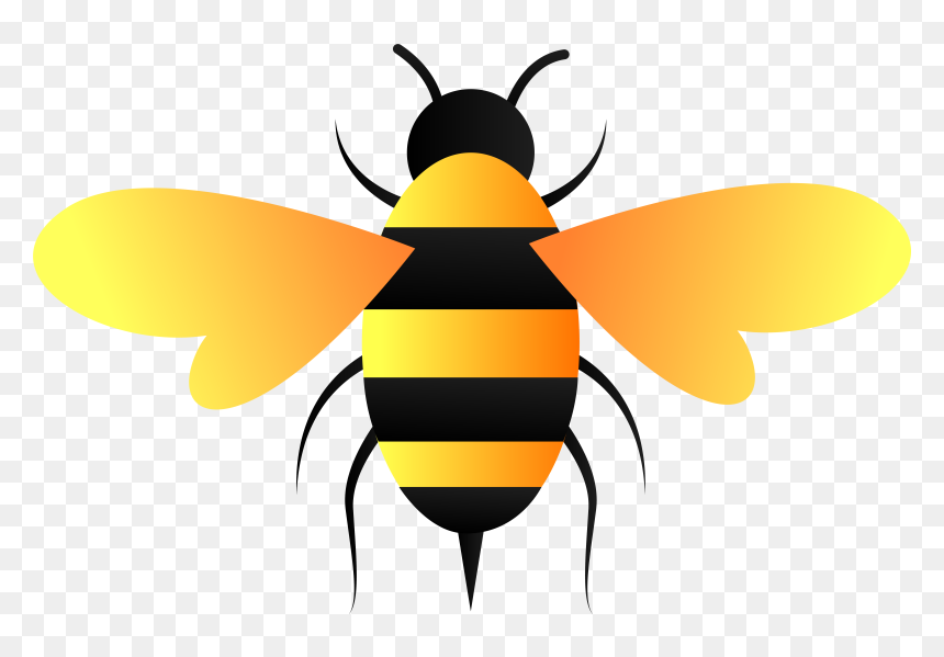 Detail Bee Transparent Background Nomer 56