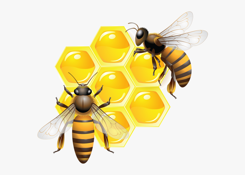 Detail Bee Transparent Png Nomer 28