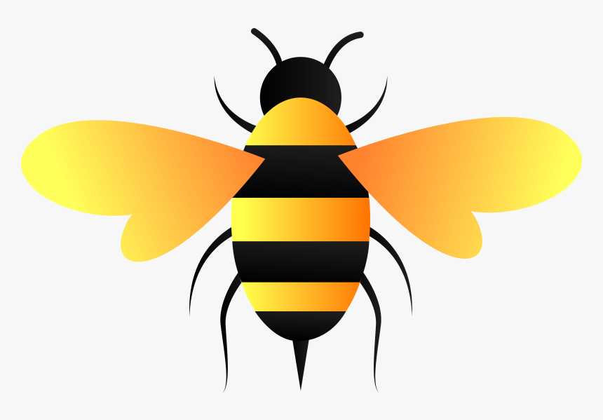 Detail Bee Vector Png Nomer 2