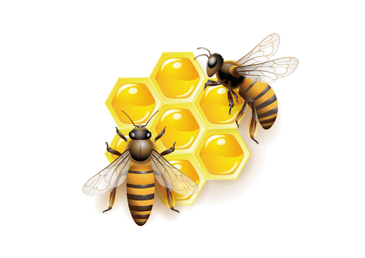 Detail Bee Vector Png Nomer 12