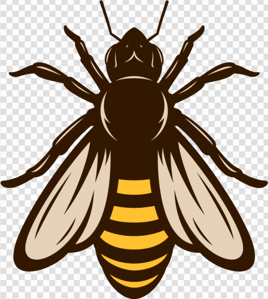 Detail Bee Vector Png Nomer 17