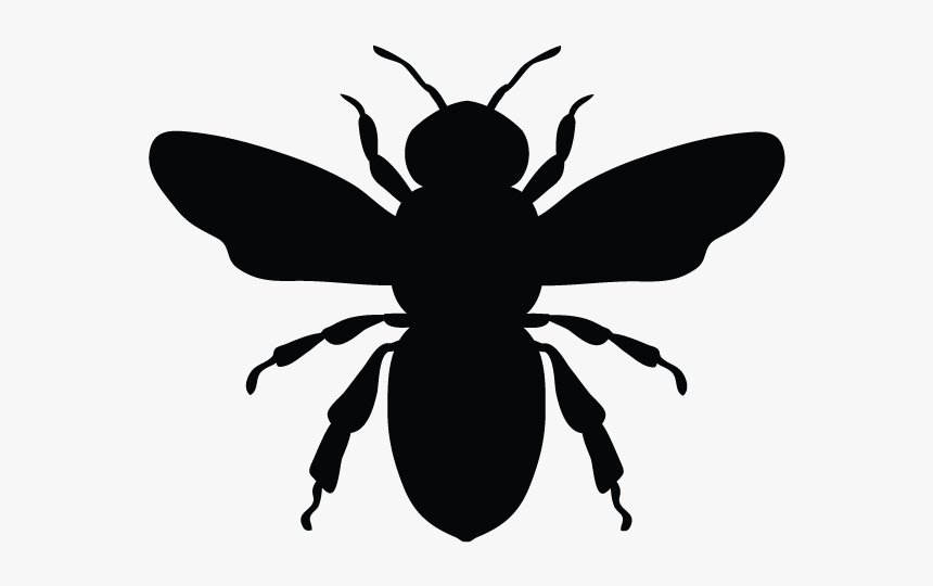 Detail Bee Vector Png Nomer 19