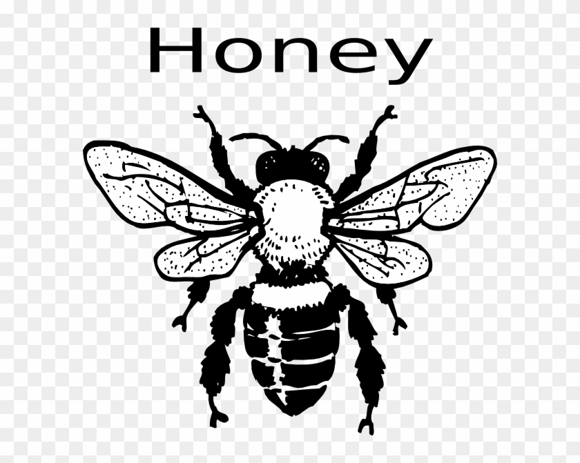 Detail Bee Vector Png Nomer 40