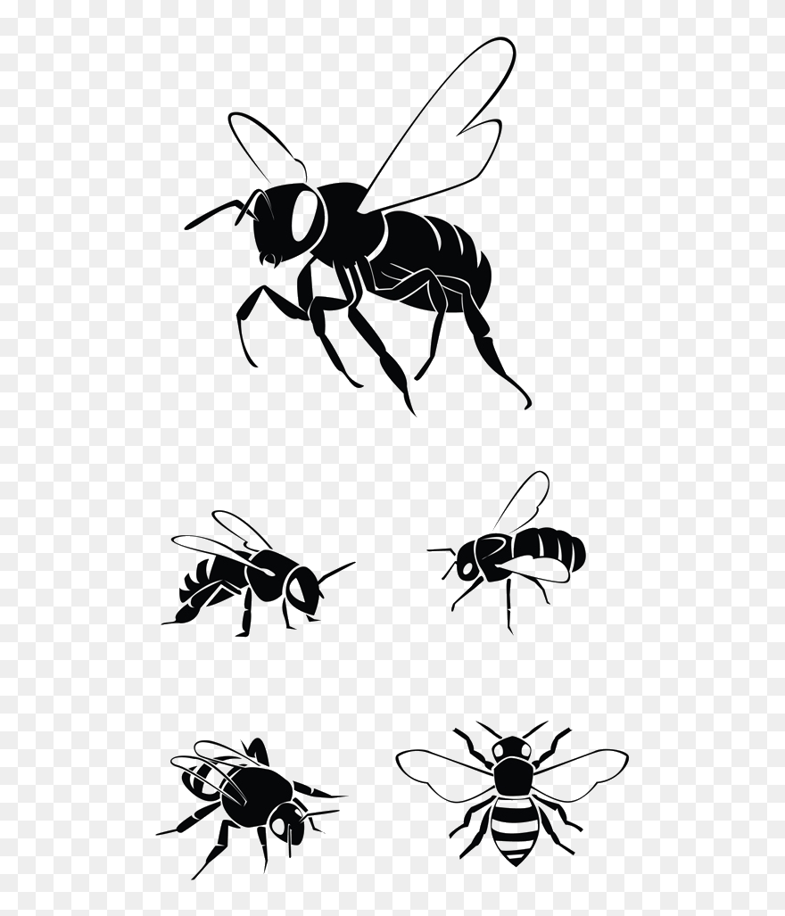 Detail Bee Vector Png Nomer 46