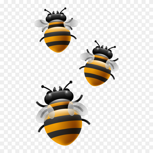 Detail Bee Vector Png Nomer 54