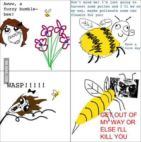 Detail Bee Vs Wasp Meme Nomer 28