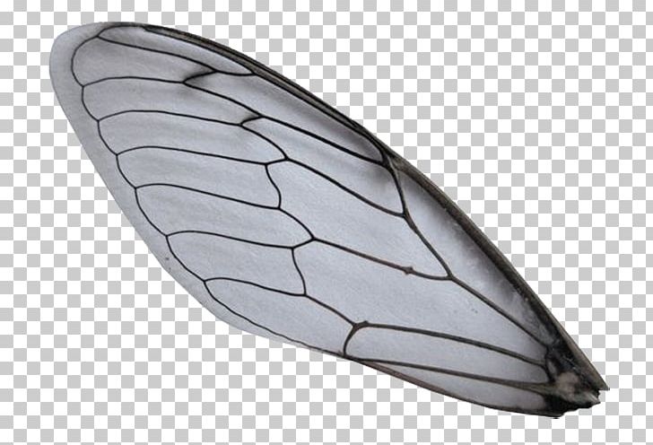 Detail Bee Wings Png Nomer 14