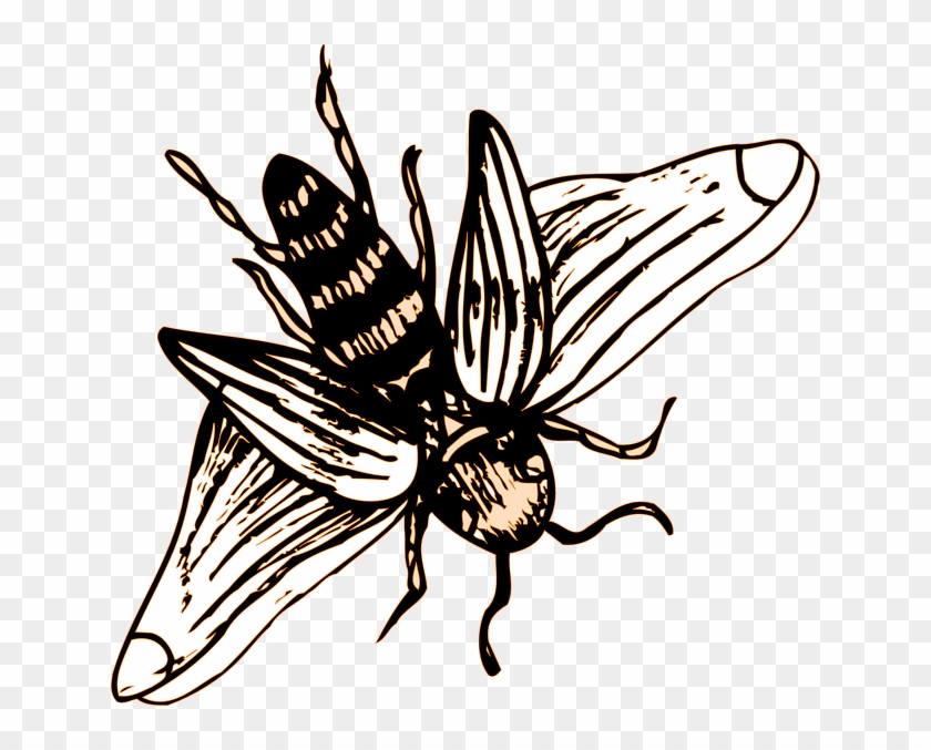 Detail Bee Wings Png Nomer 40