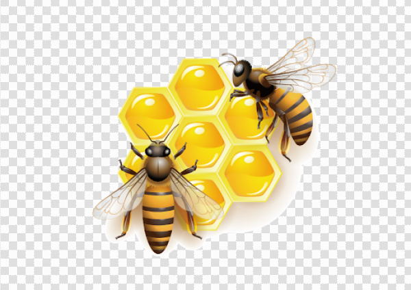 Detail Bee With Transparent Background Nomer 23