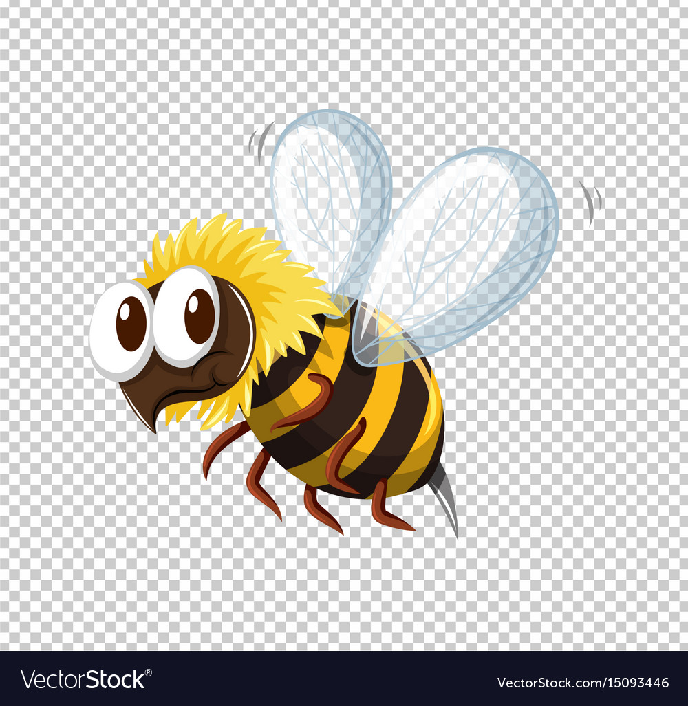 Detail Bee With Transparent Background Nomer 26